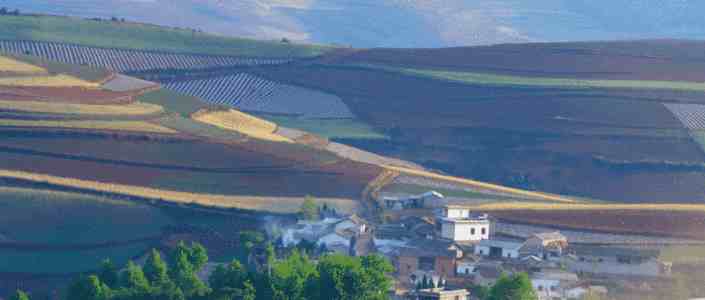 黄色动漫 - 辨别方法与风险防控指南