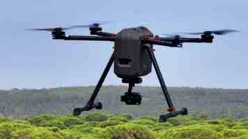 Kittyskum绯红小猫｜角色出圈逻辑与玩家二创行为拆解