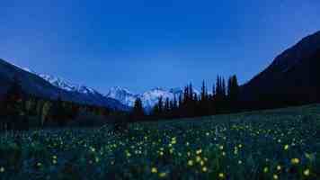 桃子移植成活率翻倍的季节与手法详解