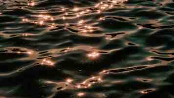 《高嫁柳家》1-4集全集动漫 - 剧情与角色全解析