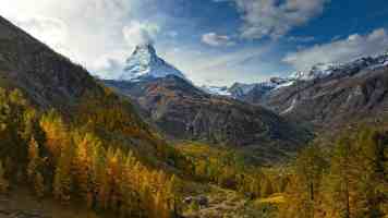 16岁下载｜青少年获取资源的稳妥方案与避坑要点
