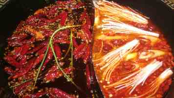 “少年军校”书声琅琅