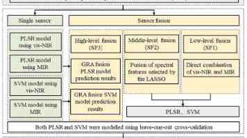 原追觅旗下汽车 BU“星辰未来”声明：陈龙冬并非汽车 CEO，离职属正常人事变动